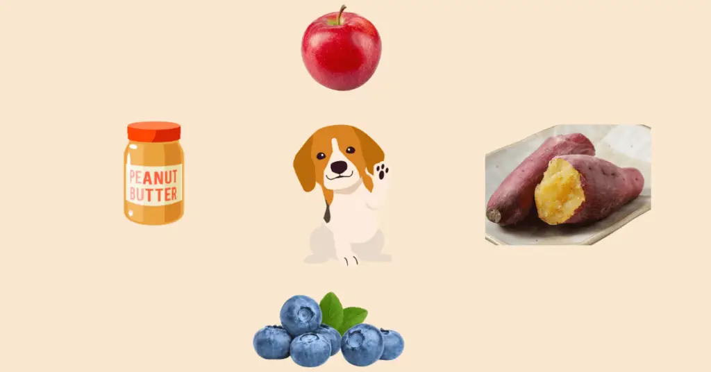 Healthy alternatives of rotisserie chicken for dogs