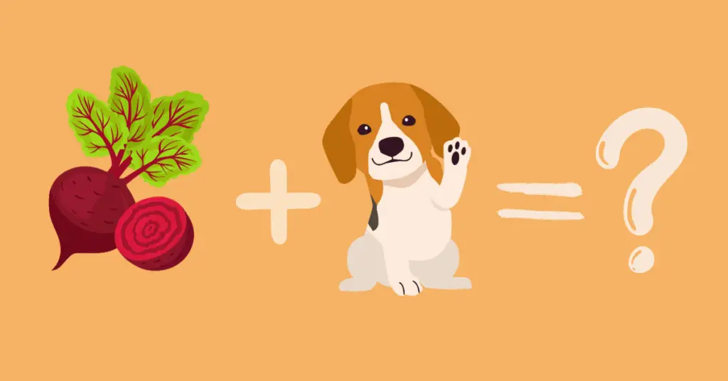 Are Beets Good for Dogs?