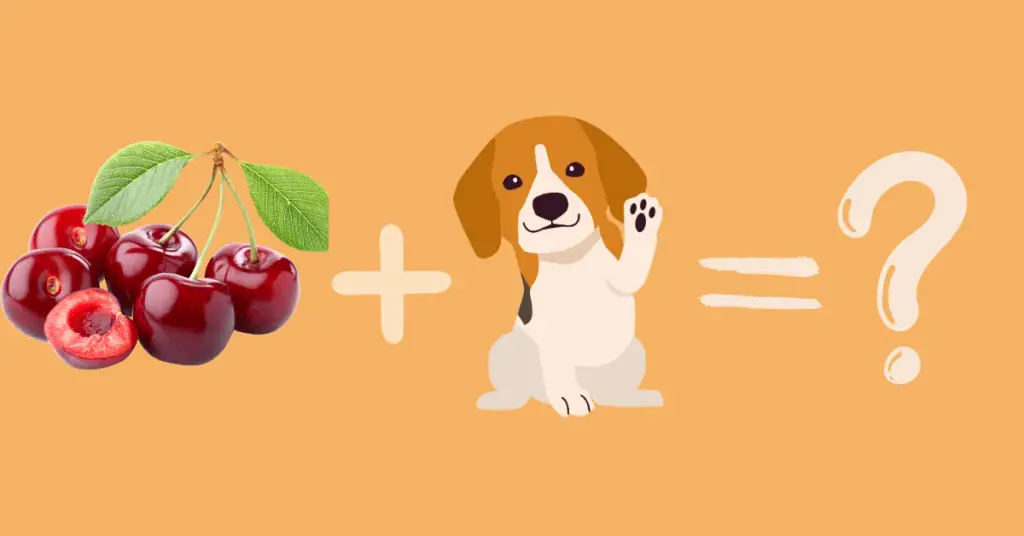 Are Cherries Bad for Dogs?