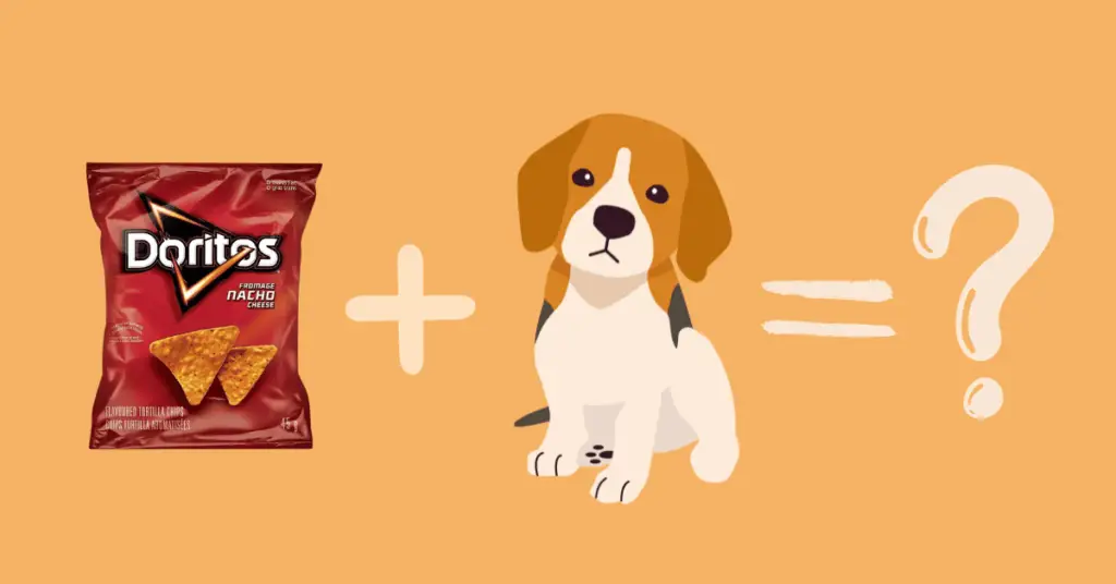 Are Doritos bad for Dogs?