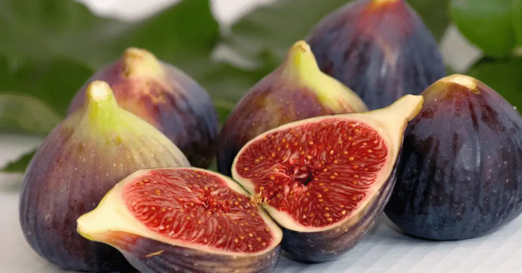 Can dogs have figs?