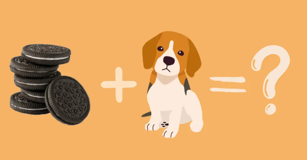 Are Oreos Safe for Dogs?