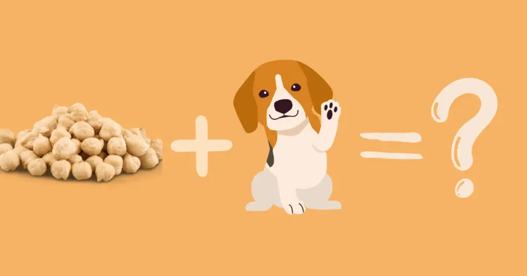 Are chickpeas bad for Dogs?