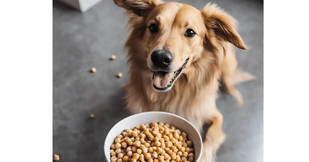 Dog with bowl of chickpeas