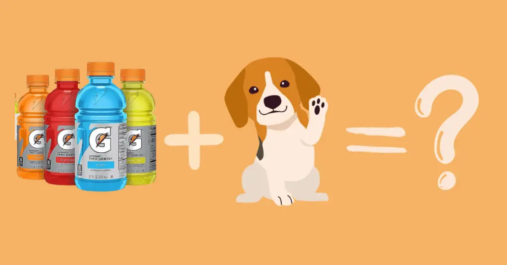 Can dogs drink gatorade or powerade?