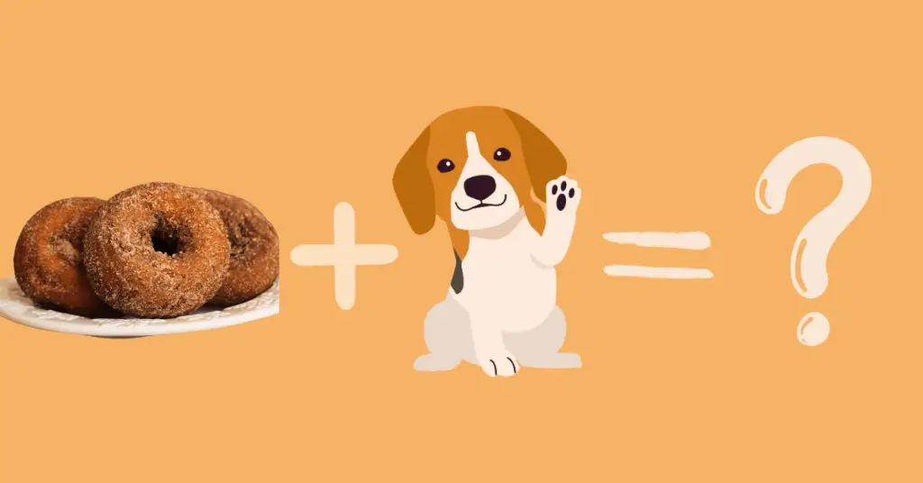 Can dogs eat apple cider donuts?