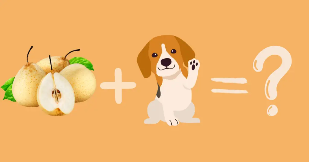 Can dogs eat asian pears?