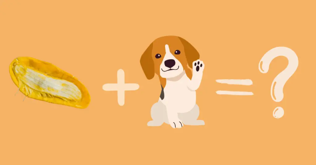 Can dogs eat mango seeds?