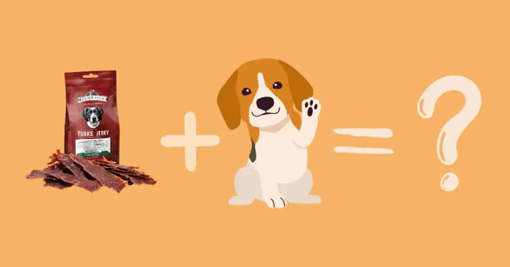 Can dogs eat turkey jerky?