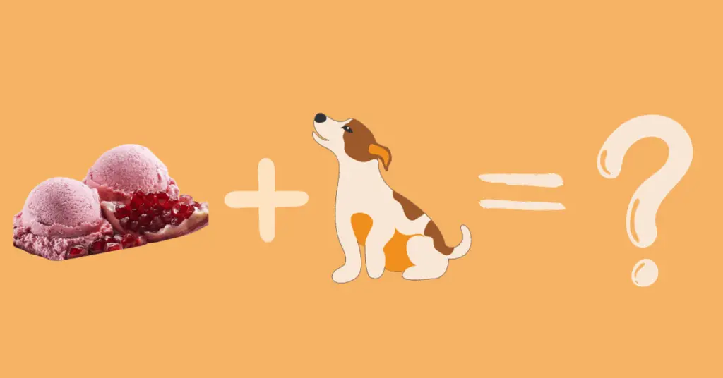 can dogs eat pomegranate ice cream
