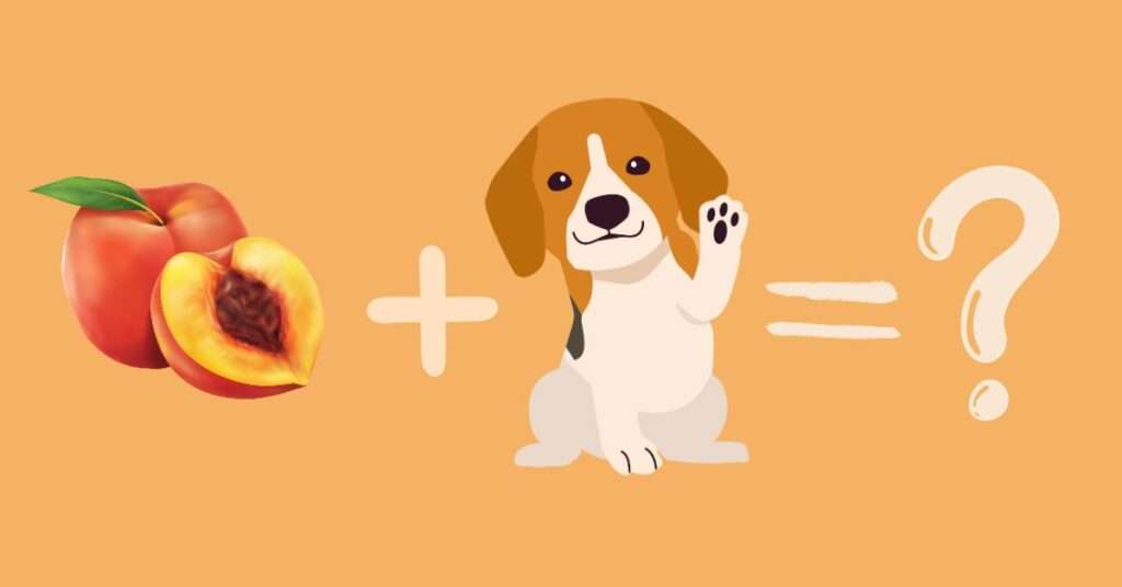 Are Peaches Poisonous to Dogs?