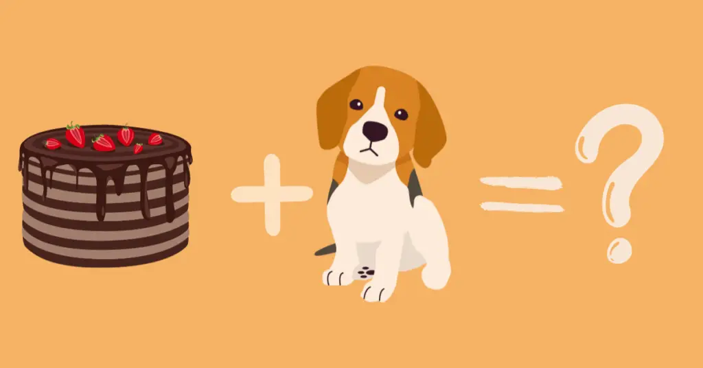 Can Dogs Eat Cake?