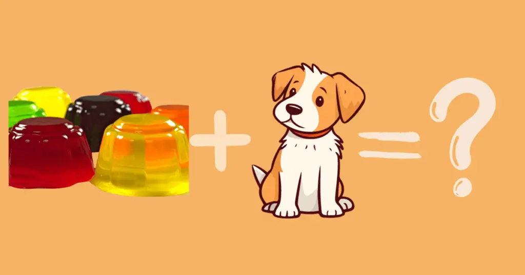 Can Dogs Eat Jello?