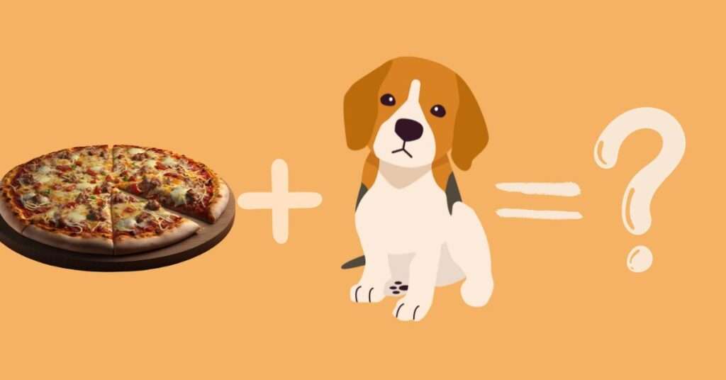 Can Dogs Eat Pizza?