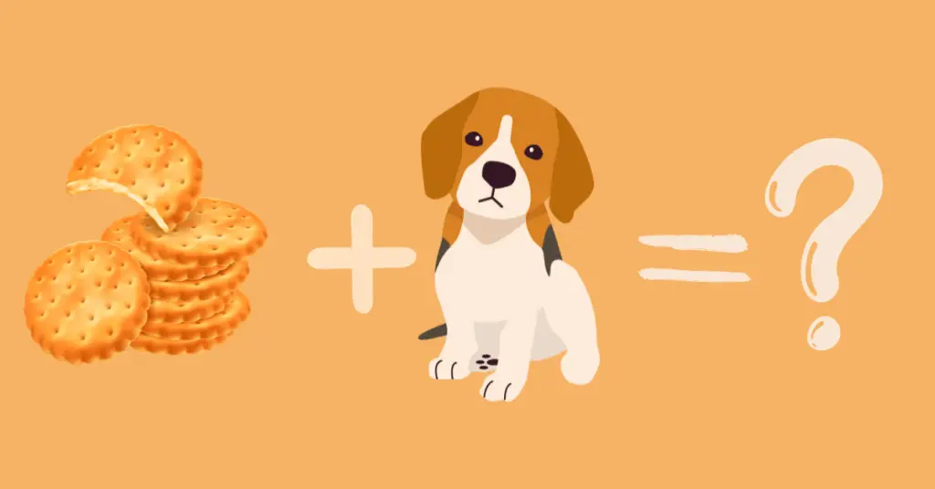 Can Dogs Eat crackers?