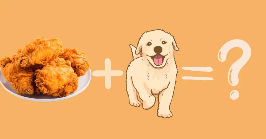Can Dogs Eat fried chicken?