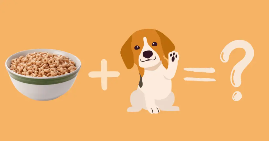 Can a Dog Eat Cheerios?