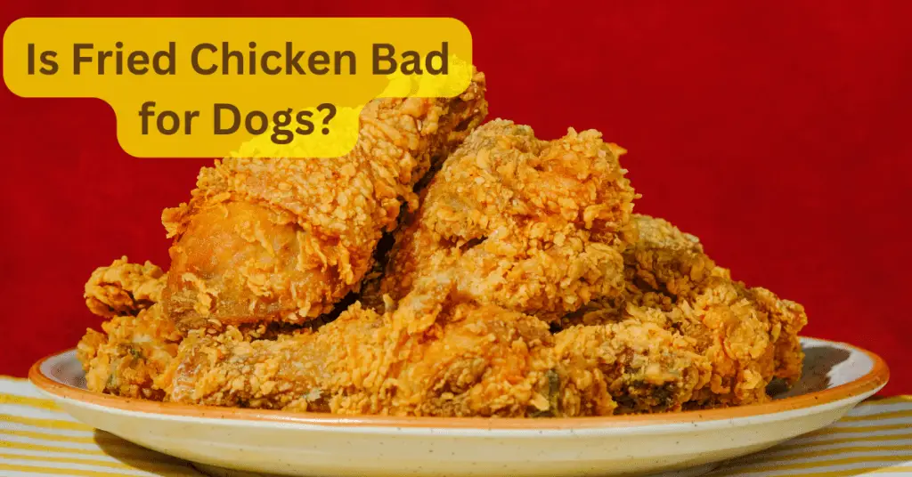 Is fried chicken bad for dogs?
